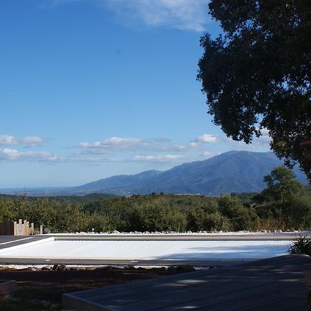 Mas La Marchette Bed & Breakfast Ceret Exterior photo