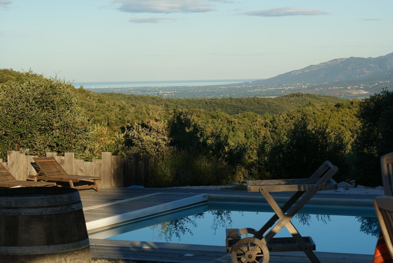 Mas La Marchette Bed & Breakfast Ceret Exterior photo