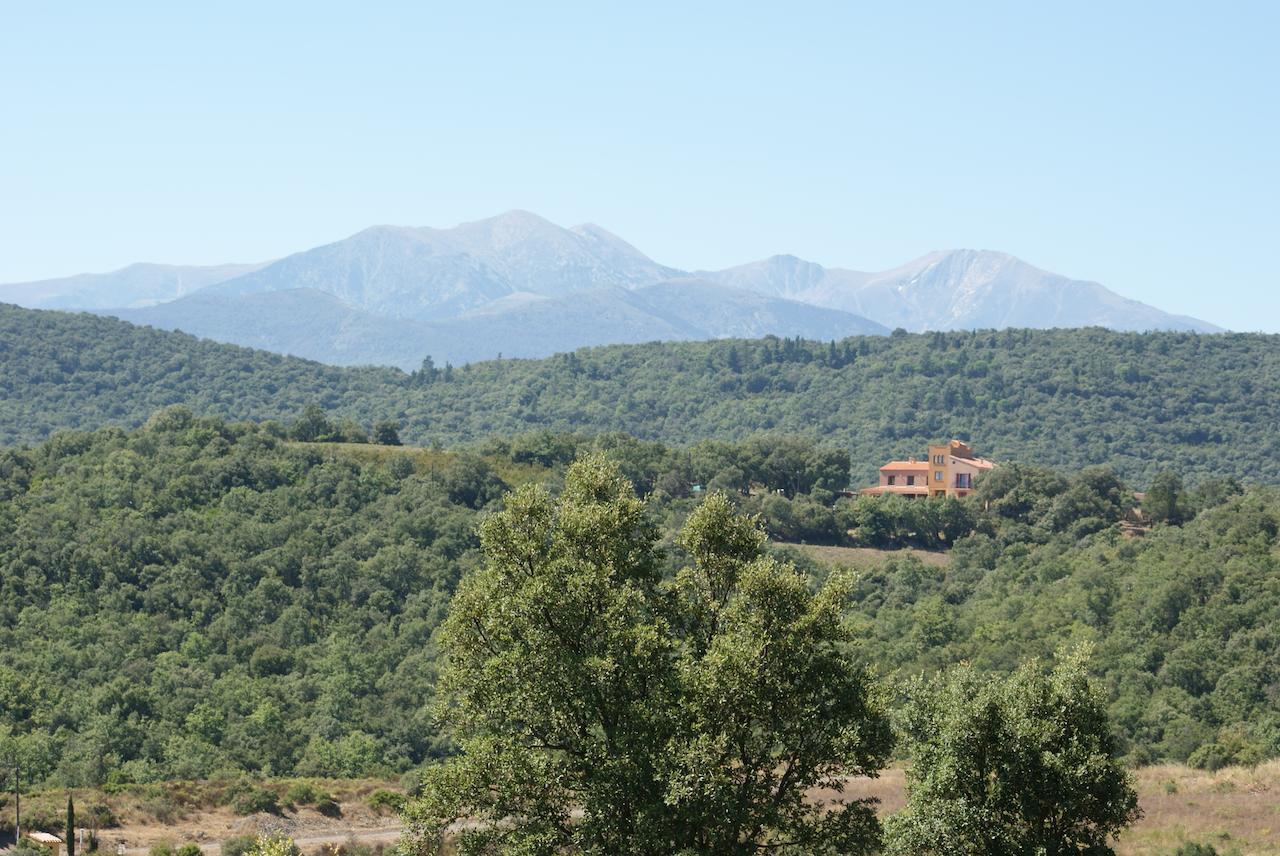 Mas La Marchette Bed & Breakfast Ceret Exterior photo