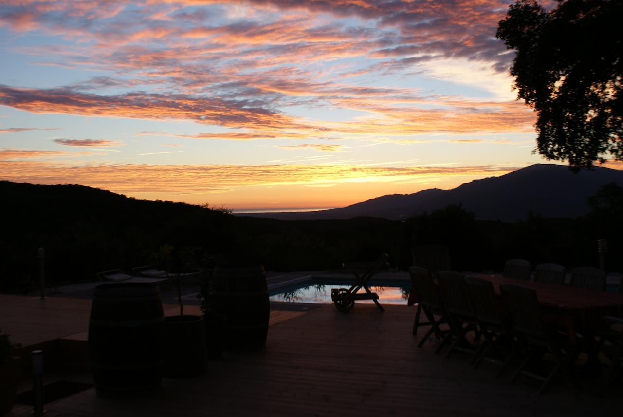 Mas La Marchette Bed & Breakfast Ceret Exterior photo