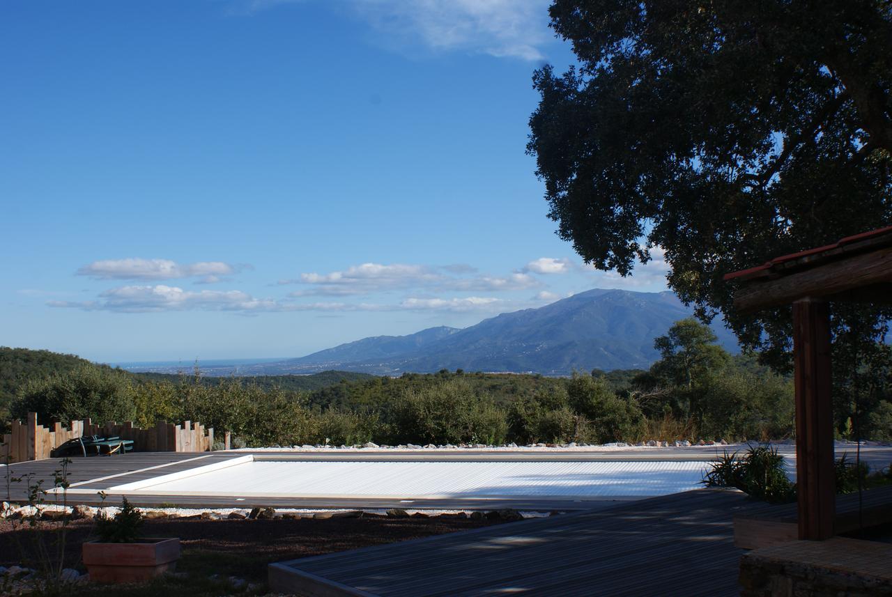 Mas La Marchette Bed & Breakfast Ceret Exterior photo